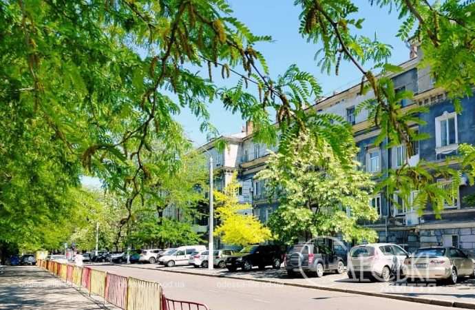 Май в Одессе