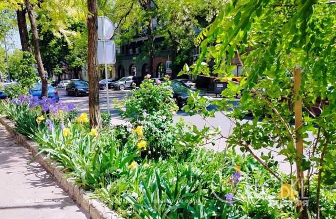 Одесса в мае