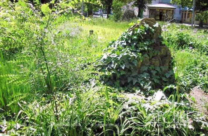 Сад камней в Одессе2