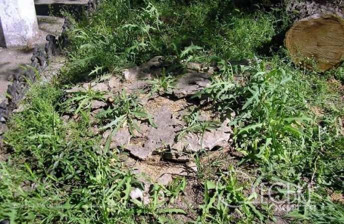 Сад камней в Одессе8