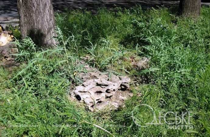 Сад камней в Одессе9