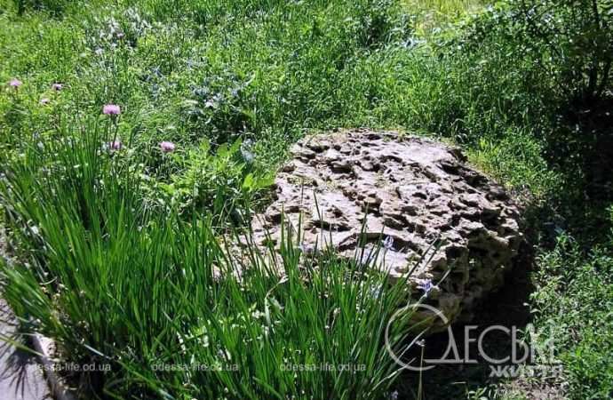 Сад камней в Одессе10