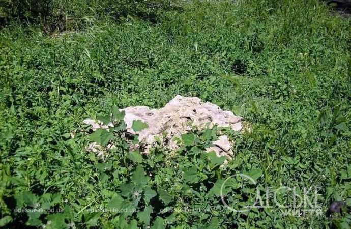 Сад камней в Одессе12