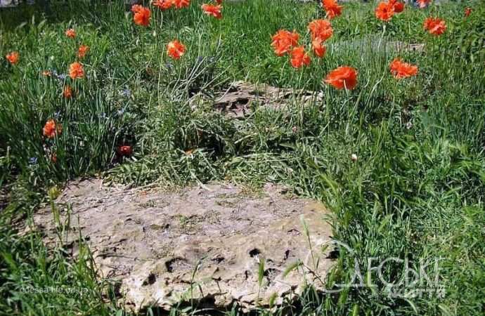 Сад камней в Одессе13