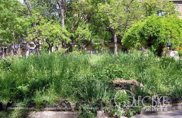 Сад камней в Одессе14