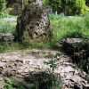 Сад камней: зеленая красота вблизи Привоза (фоторепортаж)