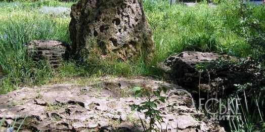 Сад каміння: зелена краса поблизу Привозу (фоторепортаж)