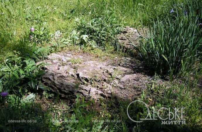 Сад камней в Одессе3