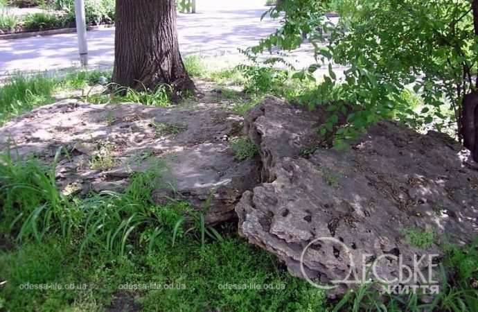 Сад камней в Одессе5