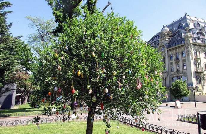 В одеському Міському саду з’явилось диво-дерево (фото, видео)