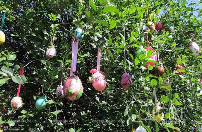 писнаки на дереві