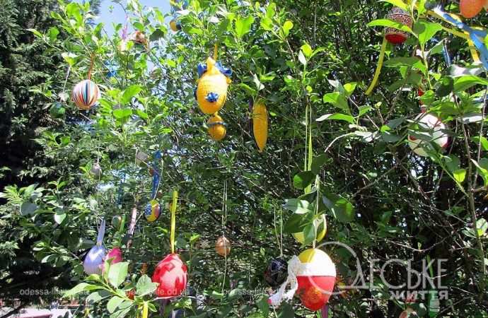 писнаки на дереві