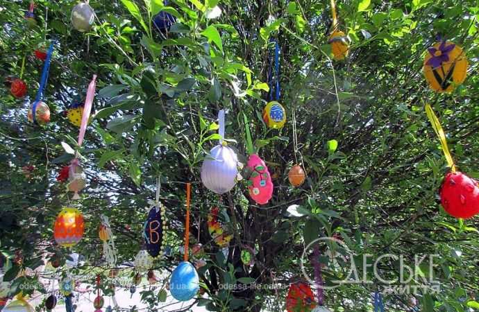 писнаки на дереві