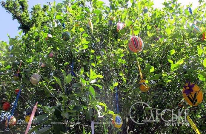 писнаки на дереві