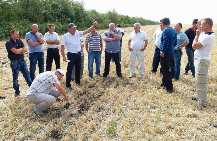 Земля без пахоты: как аграрии из Одесской области приспосабливаются к климатическим изменениям