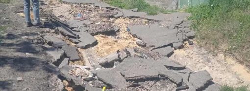 В селе Одесской области ливнями смыло асфальт, погибли домашние животные (фото)