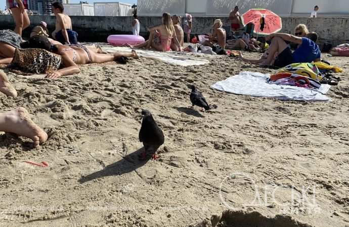 На пляже в Аркадии, песок