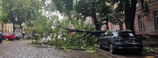 В Одессе разбушевалась непогода: Балковскую подтопило, а на Дерибасовской упало дерево (фото)