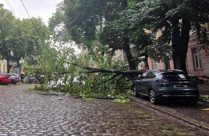 В Одессе разбушевалась непогода: Балковскую подтопило, а на Дерибасовской упало дерево (фото)