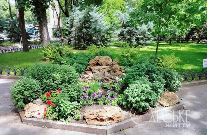 Июнь в центре Одессы, клумба