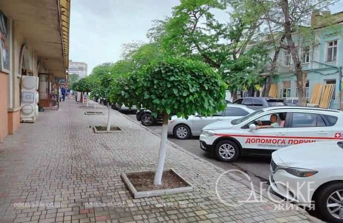 Июнь в Одессе, на улице в центре