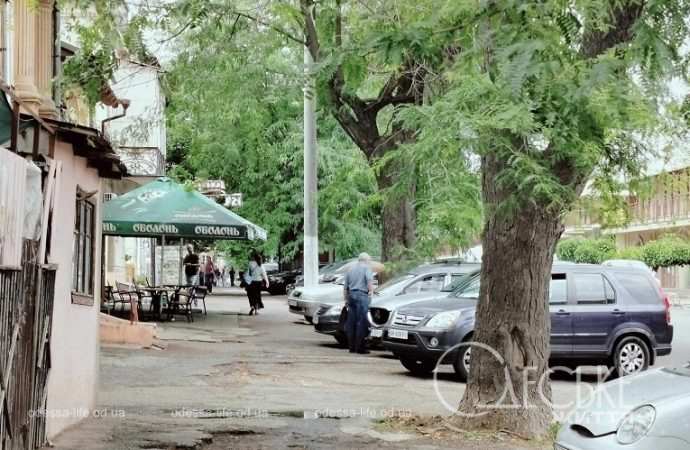Июнь в Одессе, деревья и авто