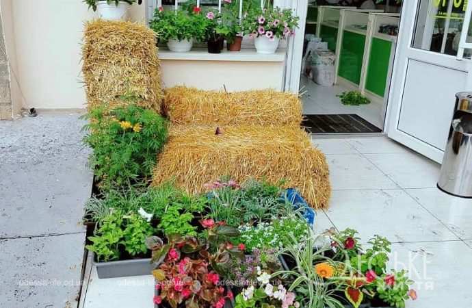 Июнь в Одессе, декор