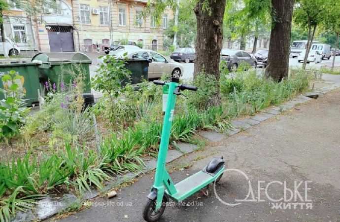 Июнь в Одессе, самокат