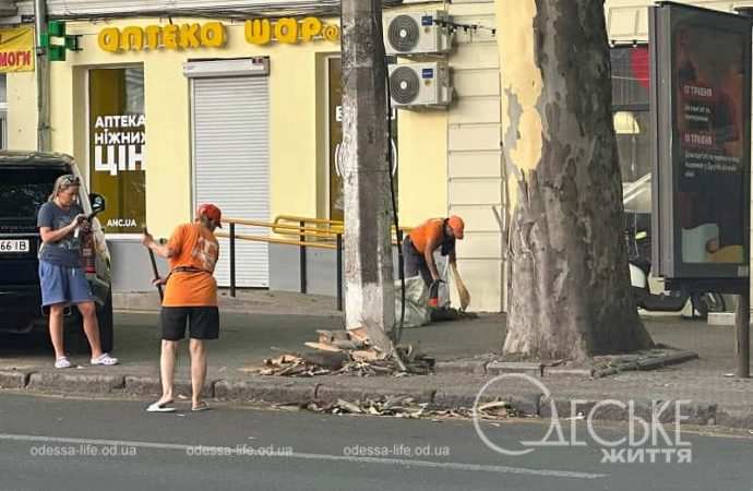 Ришельевскую засыпало корой, работают коммунальщики
