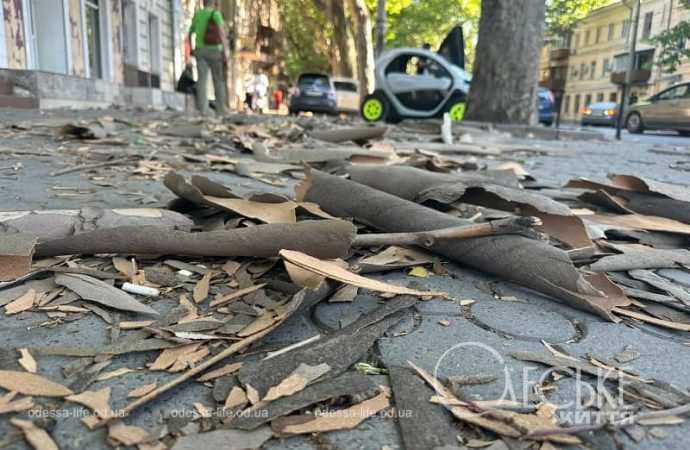 Одесскую Ришельевскую засыпало корой