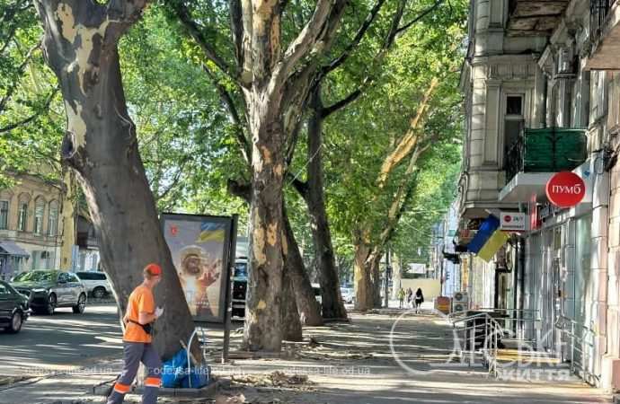 Ришельевскую засыпало корой, коммунальщики