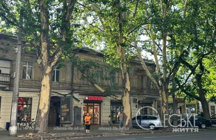 Ришельевскую засыпало корой, уборка