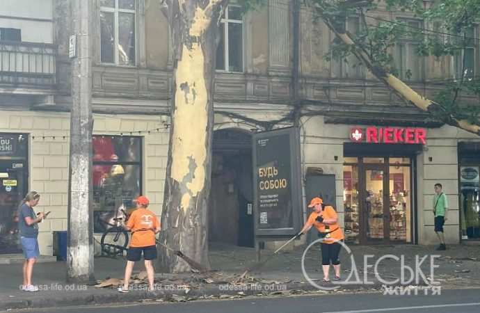 В Одессу убирают кору с платанов