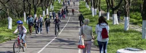 Велоинфраструктура Одессы: можно ли в городе покататься с удовольствием и без риска