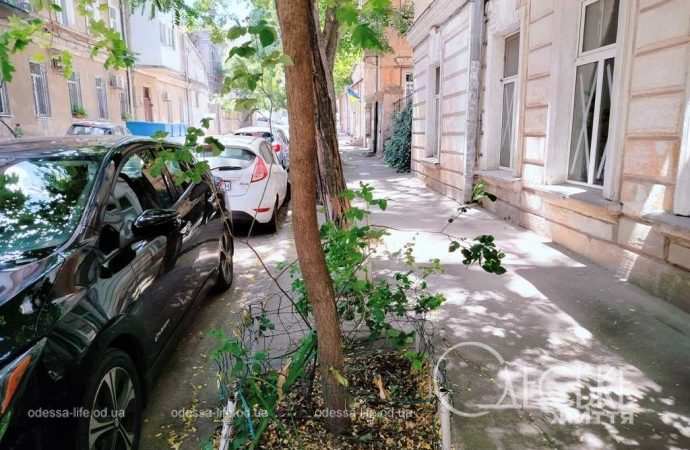 Одесский переулок Ляпуновых