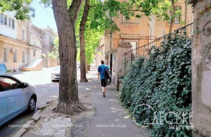 Одесский переулок Ляпуновых