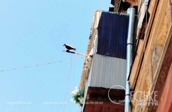 Одесский переулок Ляпуновых