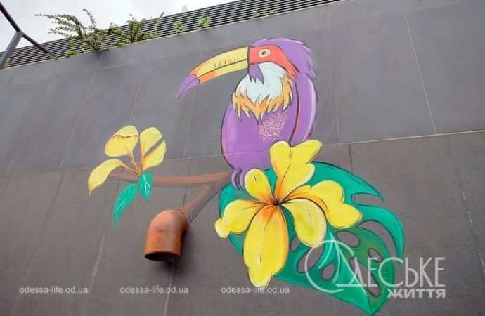 Забавные рисунки у Привоза, тукан