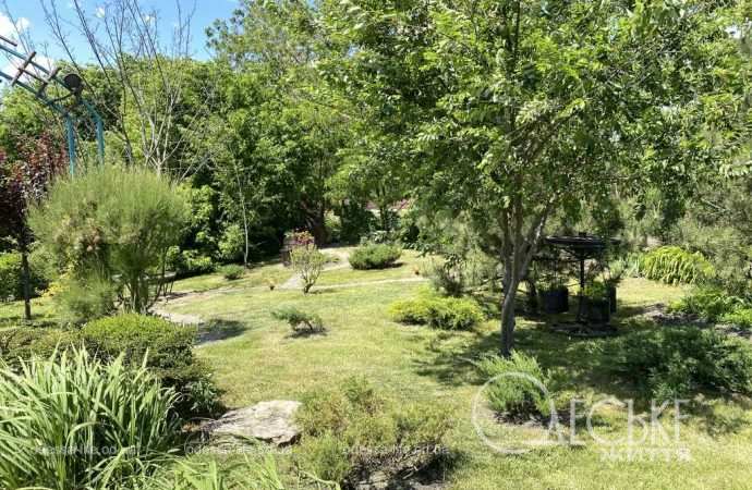 Парк Лесная песня 03