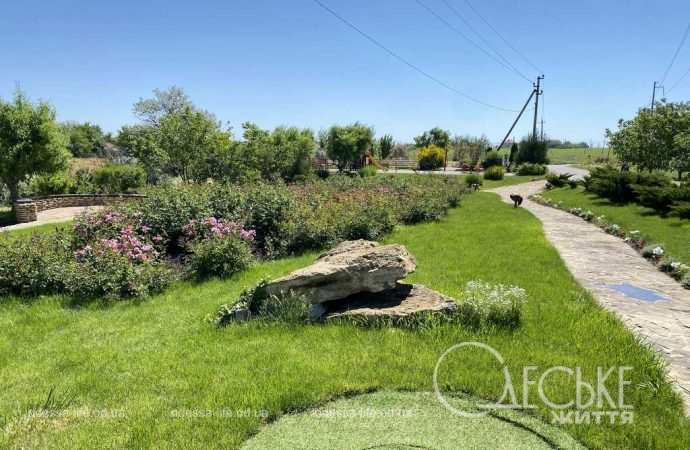 Парк Тракия 01