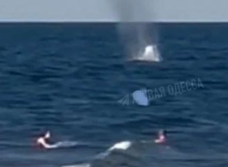 Відео з вибухом в морі поруч із відпочивальниками знято не в Одесі: коментар