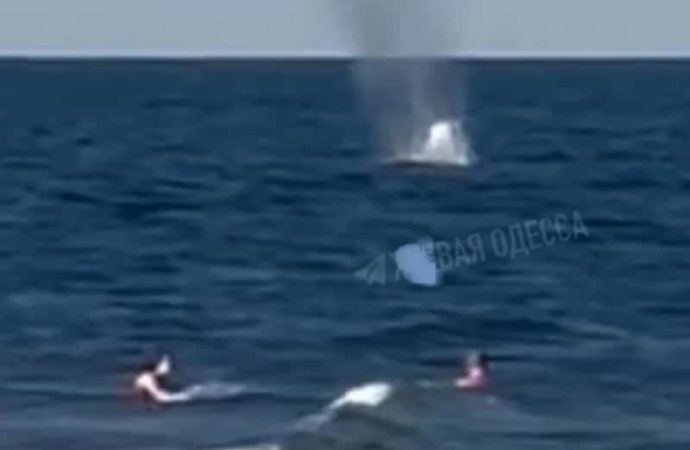 Видео со взрывом в море рядом с отдыхающими снято не в Одессе: комментарий