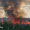 В Одессе 6 часов тушили масштабный пожар на полях орошения (видео, фото)