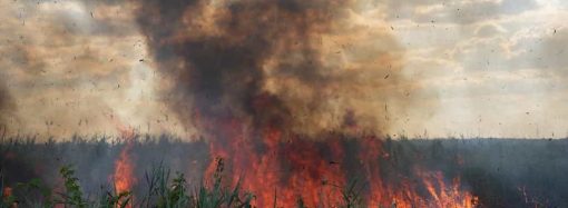 В Одесі 6 годин гасили масштабну пожежу на полях зрошення (відео, фото)