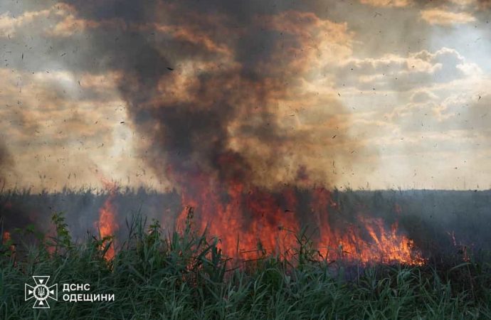 В Одесі 6 годин гасили масштабну пожежу на полях зрошення (відео, фото)