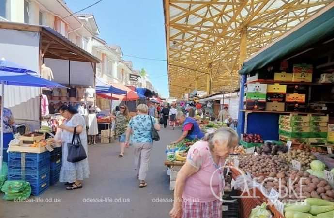 Привоз, июнь 2024