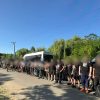 Втеча на матрацах: на кордоні з Придністров’ям упіймали 47 «уклоністів» та їхніх «провідників» (відео)