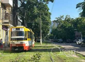 В Одесі гілка, що впала, зупинила 17-й трамвай, а Рішельєвську засипало корою з платанів (фоторепортаж)
