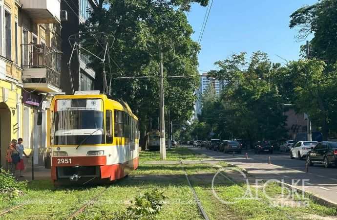 В Одессе упавшая ветка остановила 17-й трамвай, а Ришельевскую засыпало корой с платанов (фоторепортаж)