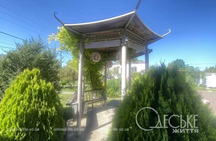 Японский парк 03